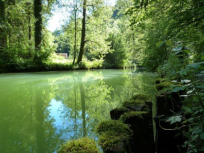 Le Mont de Guillon