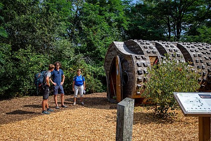 Balade à roulettes : La forêt du Bourgailh