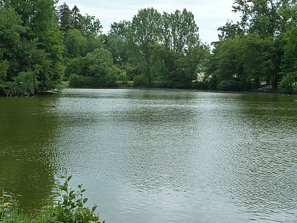 Balade à roulettes : Le Parc Bourran