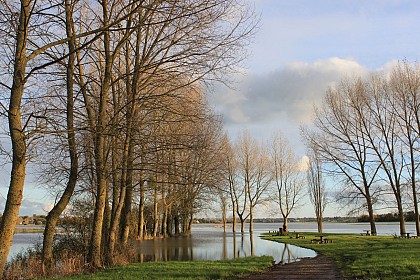 Paysages à travers les âges, Picauville