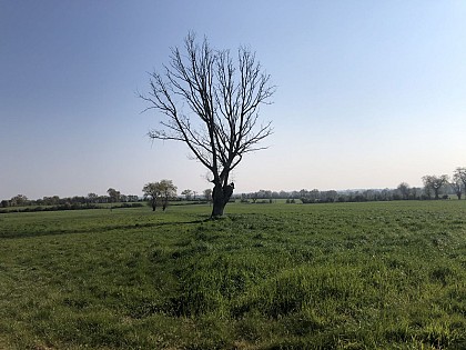 Circuit N°12 : Boucle Poillé-Fontenay