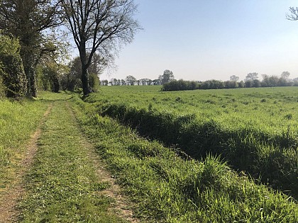 Circuit N°13 : Petite boucle de Poillé