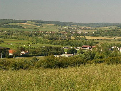 Le Fort Génicourt sur Meuse