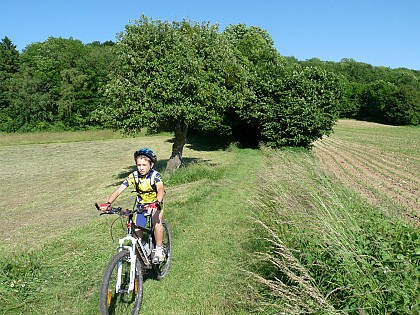 Mountain biking route 3 : Boucle de Nances (blue)