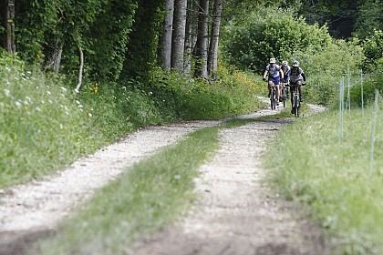 Mountain biking route 5 – Col de la Crusille