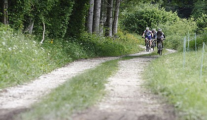 Circuit VTT n°9 - Boucle du Banchet