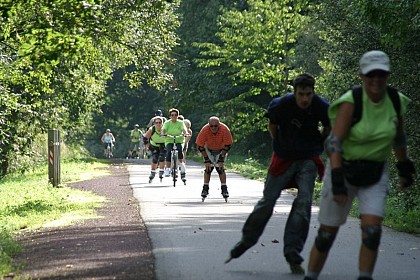 Circuit du Bois de la Roche - Néant Sur Yvel