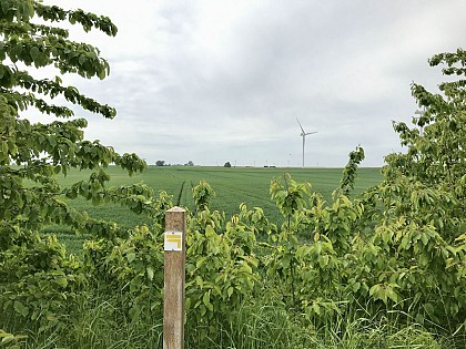 Sentier du tour du canal