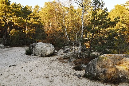 Rock art discovery trail