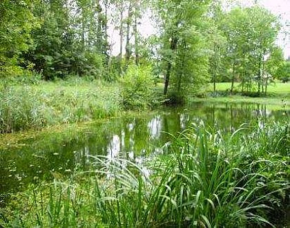 Balade sur les chemins de Dormans