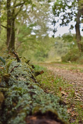 AAG PR 3 - LE CHEMIN DE LA CHAPELLE SAINT-JAYMES