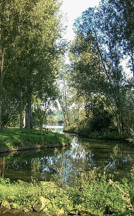 Les Etangs N°6