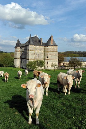 Randonnée - Le château de Doumely