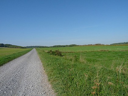 Randonnée - Les monts de Chappes