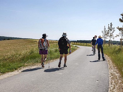 BALADES DANS LE PAYS DE SARREGUEMINES