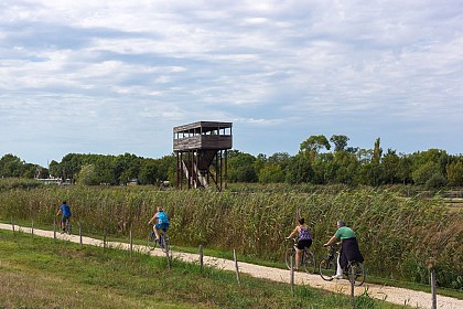 Le Canal des 2 Mers à vélo en Gironde