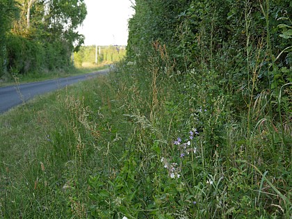 Sentier des Roches