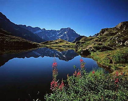 GR54 ® : Tour de l’Oisans et des Ecrins
