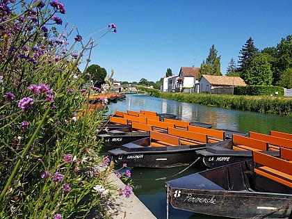 Magné - Coulon - La Sotterie en canoë