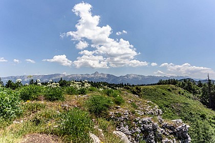 Bois Barbu, Château Julien