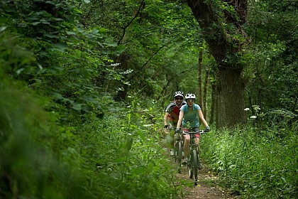 Circuit VTT n°19 - Plédran // Plaintel // St-Julien // Ploufragan // Trégueux (rouge)