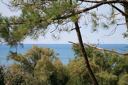 Sentier de Grandes Randonnées, n°8
