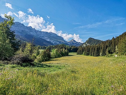Le Vallon de la Fauge