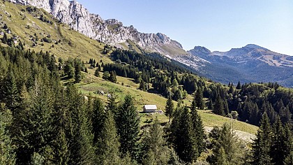Roybon - Le Col vert