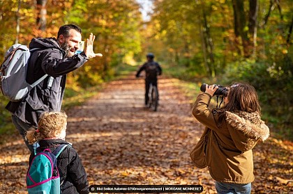 La forêt domaniale de Seillon