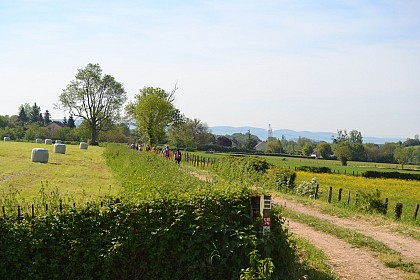 Chemins de la Jouvencelle