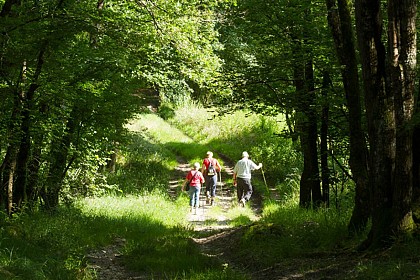 Randonnée en itinérance - bocage du val d 'anglin