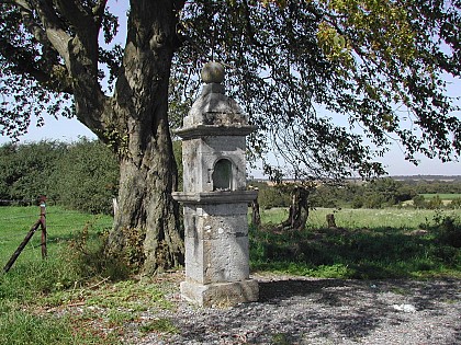 Promenade de la Vallée de l'Helpe