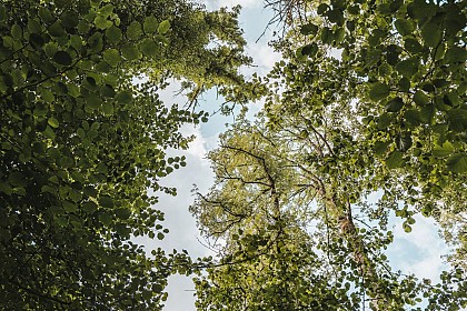 Promenade de la Masure