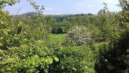 Les Chapelles