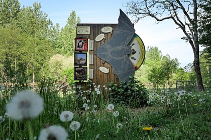 Walk in the Prés d'Orval nature reserve