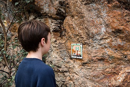 Jeu aventure "Luna & les gardiens des forêts"