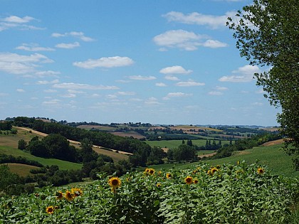 CIRCUIT DU MOULIN