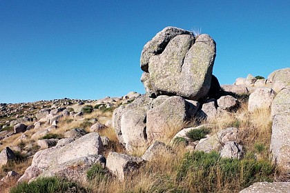 Montselgues blockfield