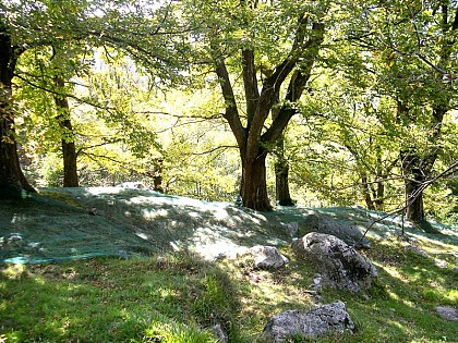 Le sentier des Ferjasses