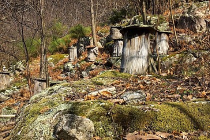 Sentier de découverte de la châtaigneraie