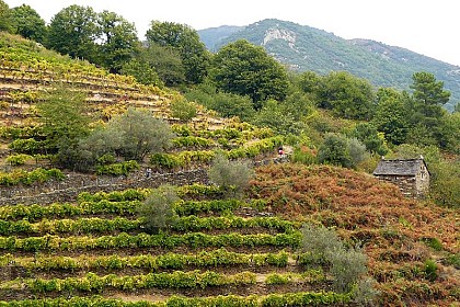 Sentier des Lauzes (flagstone path)