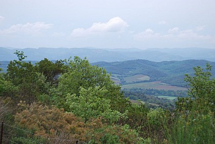 The circular