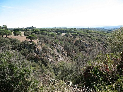 The Mills of the Dure river