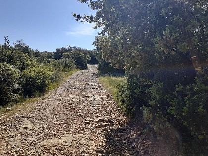 Sur les crêtes de l'Alaric