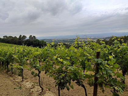 Sur les traces de son château