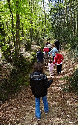 Le Bois du Névet - Accessible à tous