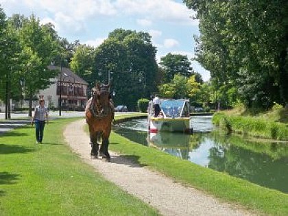 Les croisières de l'été du Canal