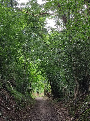 LA CHAPELLE-SAINT-AUBIN / Le parcours de Saint-Christophe