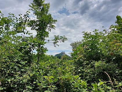 Vallée de la Jouyre, variante autour de Najac