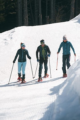 5 - Clairière et bassins de Mateigena